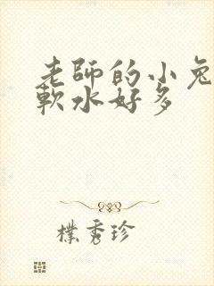 老师的小兔子好软水好多
