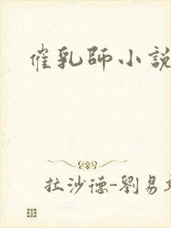 催乳师小说