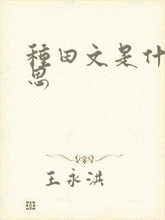 种田文是什么意思