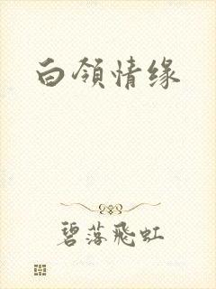 白领情缘