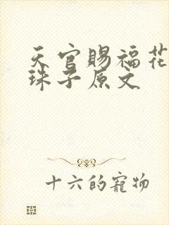 天官赐福花怜塞珠子原文