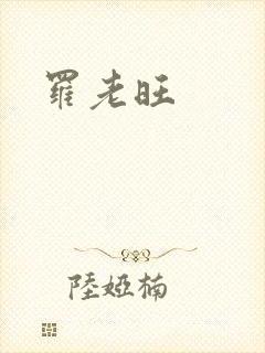 《罗老旺》小说封面