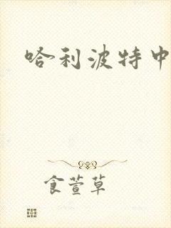 哈利波特中文版