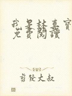 我是林喜宝小说免费阅读