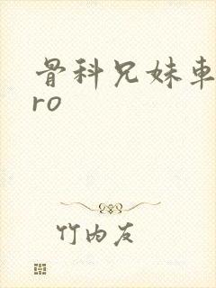 骨科兄妹车多pro