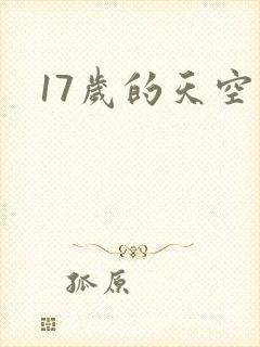 17岁的天空