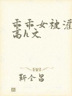 乖乖女被灌满精高h文