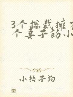 《3个总裁拥有一个妻子的小说》小说封面
