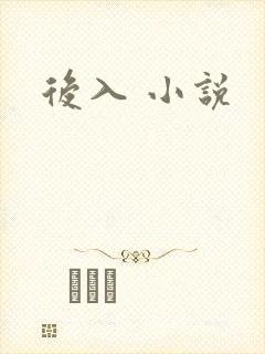 后入 小说