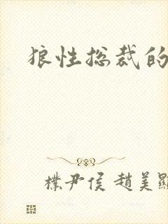 狼性总裁的尤物