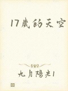17岁的天空