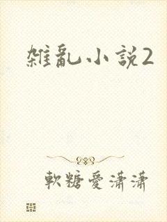 杂乱小说2