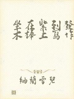 坐在紫到发黑的木棒上写作业