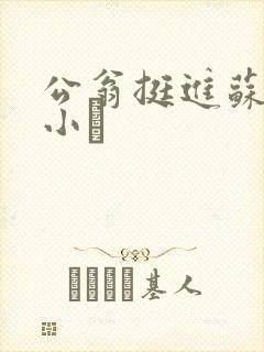 公翁挺进苏玥的小泬