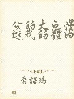 公的大龟慢慢挺进我的体内