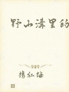 野山沟里的村庄