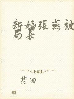 新婚张燕被两个局长