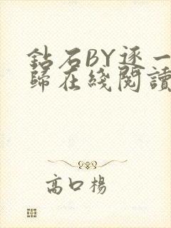 钻石BY逐一而归在线阅读