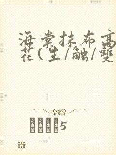 海棠抹布高岭之花(生/触/双)