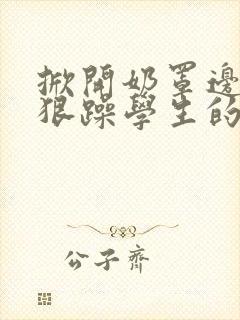 掀开奶罩边躁狠狠躁学生的小文字