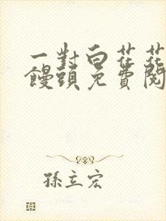 一对白花花的大馒头免费阅读