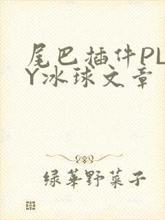 尾巴插件PLAY冰球文章