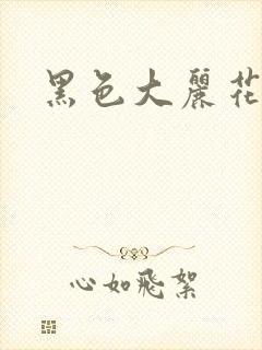 黑色大丽花图片