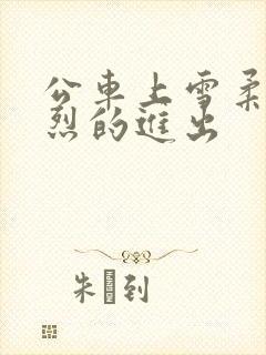 公车上雪柔被猛烈的进出