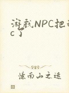 游戏NPC把我c了