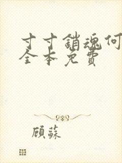 寸寸销魂何生祥全本免费