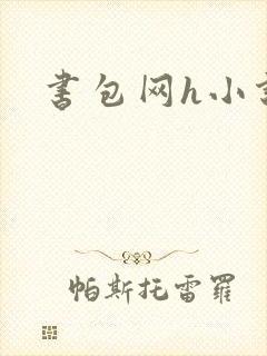 书包网h小说