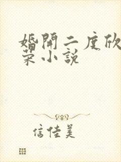 婚开二度欣欣向荣小说
