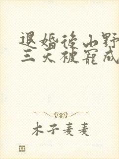 退婚后山野糙汉三天被宠成宝小说