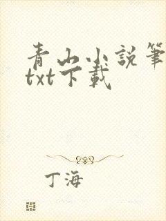青山小说笔趣阁txt下载