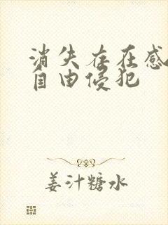 消失存在感消失自由侵犯