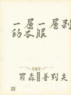 一层一层剥掉你的衣服
