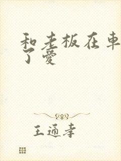 和老板在车里做了爱