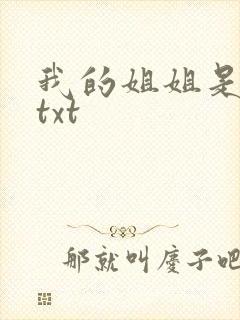 我的姐姐是美女txt