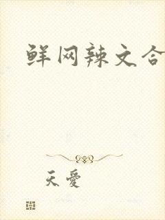 鲜网辣文合集