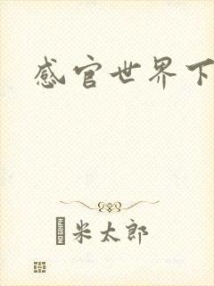 感官世界下载