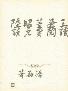 陆昭菱晋王的小说免费阅读