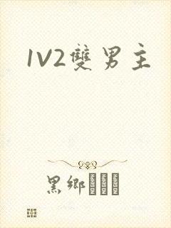 1V2双男主