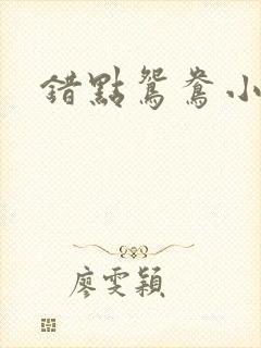 错点鸳鸯小说