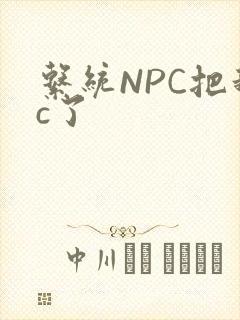 系统NPC把我c了