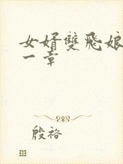 女婿双飞娘俩第一章