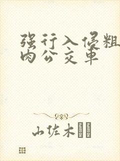 强行入侵粗暴h肉公交车