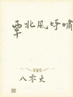 西北风呼啸的中午