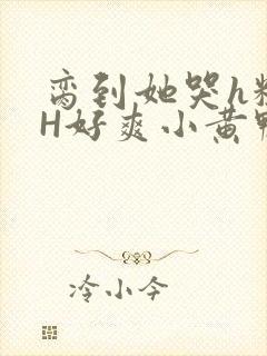 脔到她哭h粗话H好爽小黄鸭视频