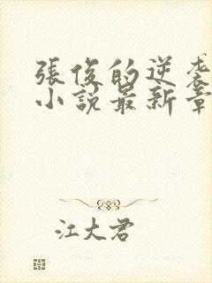 张俊的逆袭之路小说最新章节