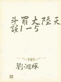 斗罗大陆天狂传说1一5